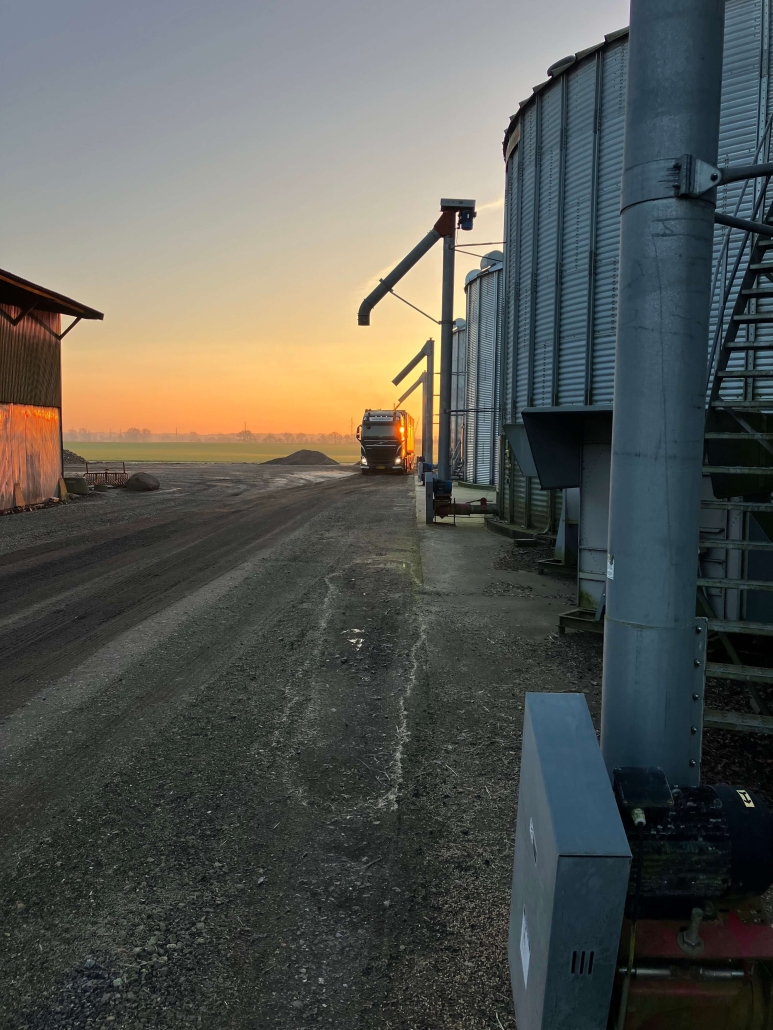 vognmand, kørsel af foderhvede